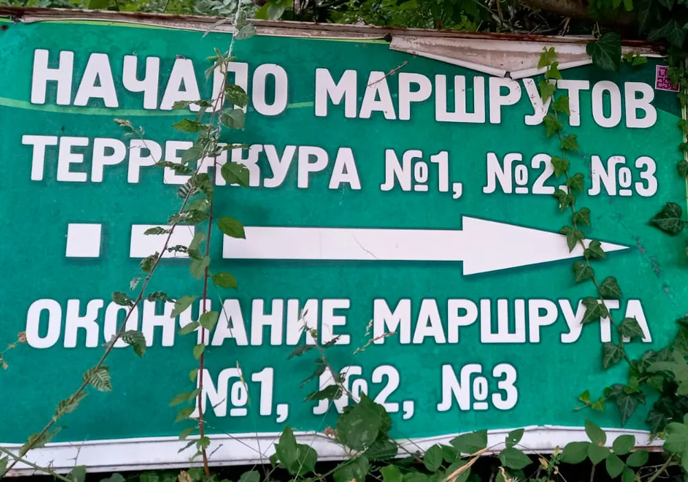 тропа здоровья
